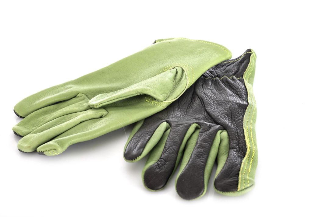 Water Vapor Absorption