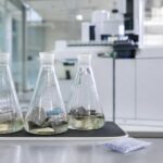 Ayakkabı ve bileşenlerinde dimetil fümarat (DMFu) tayini TS EN ISO 16186